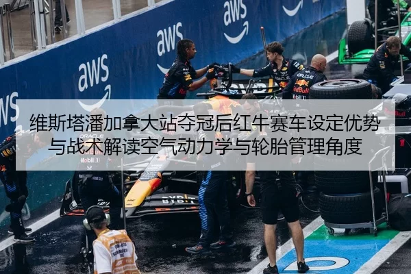 wei-si-ta-pan-jia-na-da-zhan-duo-guan-hou-hong-niu-sai-che-she-ding-you-shi-yu-zhan-shu-jie-du-kong-qi-dong-li-xue-yu-2-205.jpg