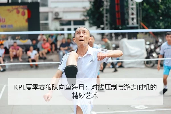 KPL夏季赛狼队向鱼海月：对线压制与游走时机的精妙艺术